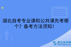 湖北自考專業(yè)課和公共課先考哪個(gè)？備考方法須知！