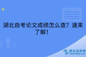 湖北自考論文成績(jī)?cè)趺床?？速?lái)了解！
