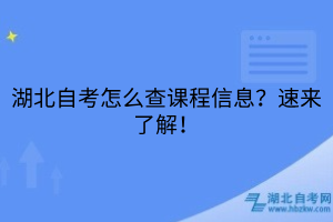 湖北自考怎么查課程信息？速來(lái)了解！