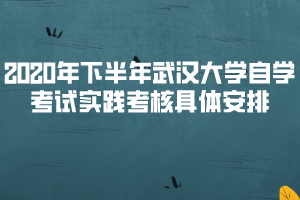 2020年下半年武漢大學(xué)自學(xué)考試實(shí)踐考核具體安排
