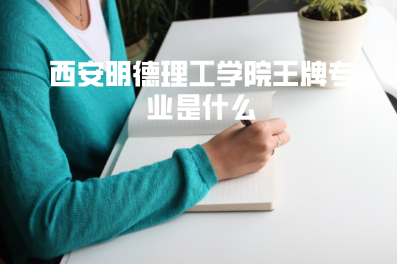 西安明德理工學(xué)院王牌專業(yè)是什么