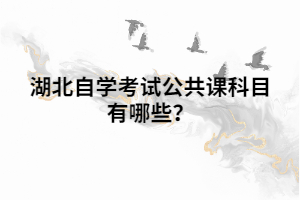 湖北自學考試公共課科目有哪些？