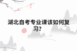 湖北自考專業(yè)課該如何復習？