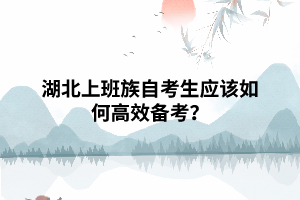 湖北上班族自考生應(yīng)該如何高效備考？