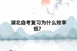 湖北自考復(fù)習(xí)為什么效率低？