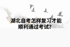 湖北自考怎樣復(fù)習(xí)才能順利通過考試？