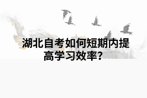 湖北自考如何短期內(nèi)提高學(xué)習(xí)效率？