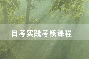 2021年湖北自考文秘與辦公自動化專業(yè)實踐考核課程