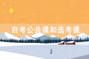 2021年10月湖北自考本科的公共課和選考課考試安排