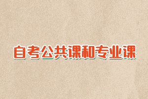 自考公共課和專業(yè)課各有多少門課程要考？