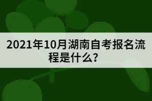 2021年10月湖南自考報(bào)名流程是什么？