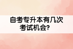 自考專升本有幾次考試機(jī)會？