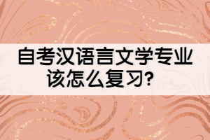 自考漢語(yǔ)言文學(xué)專業(yè)該怎么復(fù)習(xí)？
