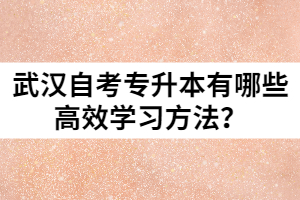 武漢自考專升本有哪些高效學(xué)習(xí)方法？