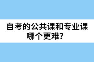 自考的公共課和專業(yè)課哪個(gè)更難？