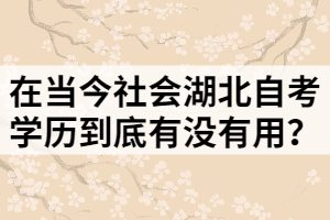 在當(dāng)今社會湖北自考學(xué)歷到底有沒有用？
