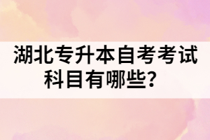 湖北專升本自考考試科目有哪些？