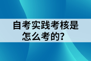 自考實(shí)踐考核是怎么考的？