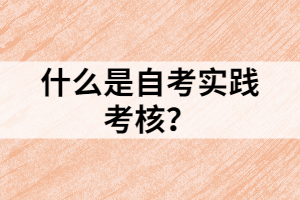 什么是自考實(shí)踐考核？