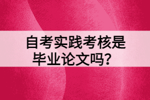自考實(shí)踐考核是畢業(yè)論文嗎？