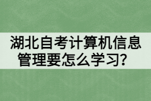 湖北自考計(jì)算機(jī)信息管理要怎么學(xué)習(xí)？