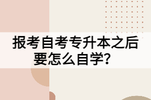 報(bào)考自考專升本之后要怎么自學(xué)？