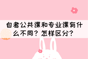 自考公共課和專業(yè)課有什么不同？怎樣區(qū)分？