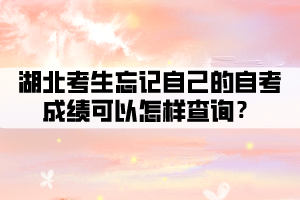 湖北考生忘記自己的自考成績可以怎樣查詢？