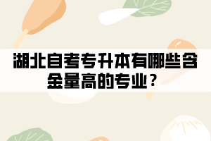 湖北自考專(zhuān)升本有哪些含金量高的專(zhuān)業(yè)？