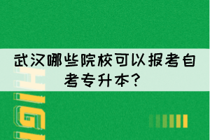 武漢哪些院?？梢詧?bào)考自考專升本？