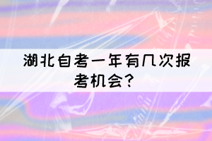 湖北自考一年有幾次報考機會？