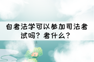 自考法學(xué)可以參加司法考試嗎？考什么？