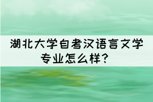 湖北大學自考漢語言文學專業(yè)怎么樣？