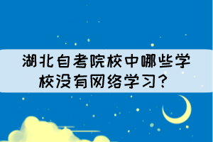 湖北自考院校中哪些學(xué)校沒(méi)有網(wǎng)絡(luò)學(xué)習(xí)？