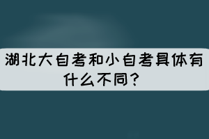 湖北大自考和小自考具體有什么不同？