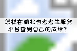 怎樣在湖北自考考生服務(wù)平臺查到自己的成績？