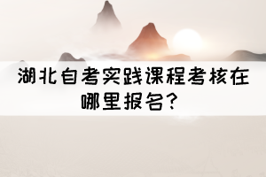 湖北自考實踐課程考核在哪里報名？