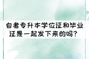 自考專升本學(xué)位證和畢業(yè)證是一起發(fā)下來的嗎？