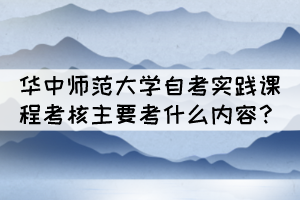 華中師范大學(xué)自考實(shí)踐課程考核主要考什么內(nèi)容？