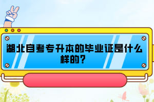 湖北自考專升本的畢業(yè)證是什么樣的？