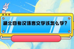 湖北自考漢語言文學(xué)該怎么學(xué)？