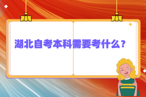 湖北自考本科需要考什么？