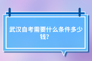 武漢自考需要什么條件多少錢？