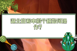 湖北自考申報個稅如何操作？