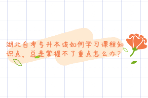 湖北自考專升本該如何學(xué)習(xí)課程知識(shí)點(diǎn)，總是掌握不了重點(diǎn)怎么辦？
