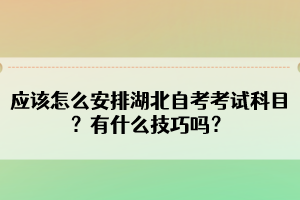 應(yīng)該怎么安排湖北自考考試科目？有什么技巧嗎？