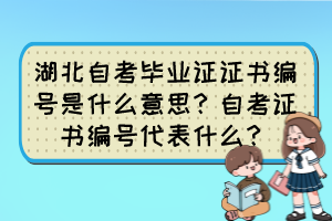 湖北自考畢業(yè)證證書編號是什么意思？自考證書編號代表什么？