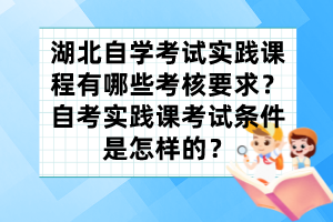 湖北自學(xué)考試實(shí)踐課程有哪些考核要求？自考實(shí)踐課考試條件是怎樣的？