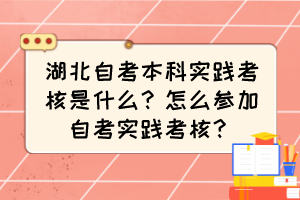 湖北自考本科實踐考核是什么？怎么參加自考實踐考核？