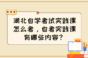 湖北自學(xué)考試實(shí)踐課怎么考，自考實(shí)踐課有哪些內(nèi)容？